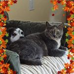 Profile Picture of Nancy Lathrop (@nlathrop0392) on Instagram