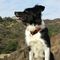 Profile Picture of Robin Faulk (@robin.faulk.98) on Facebook