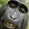 Profile Picture of Hugo PETERSEN (@21hugop) on Pinterest