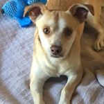 Profile Picture of Roberta Deese (@rodeese1) on Instagram