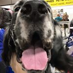 Profile Picture of Jeffrey Blevins (@jeffrey.blevins.585) on Instagram