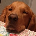 Profile Picture of Patrick Howell (@crashhowell9) on Instagram