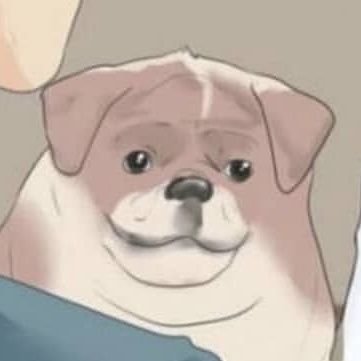Profile Picture of Cooper (@BeeStripse) on Twitter