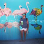 Profile Picture of lori mcmillan (@lbarbarino) on Instagram