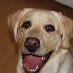 Profile Picture of Jeff Pruehs (@jeffpruehs) on Instagram