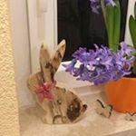 Nancy Kampa - Instagram Profile Picture of Nancy Kampa (@kampanancy) on Instagram