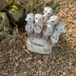 Profile Picture of Darren crossley (@darrencrossley661) on Instagram