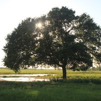 Profile Picture of Cristian Luna (@cristian-luna-38) on Quora