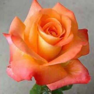 Profile Picture of Benjamin Paulson (@Benjamin-Paulson) on Facebook