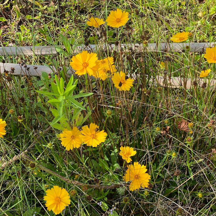 Profile Picture of u (@kaevinsly) on Tiktok