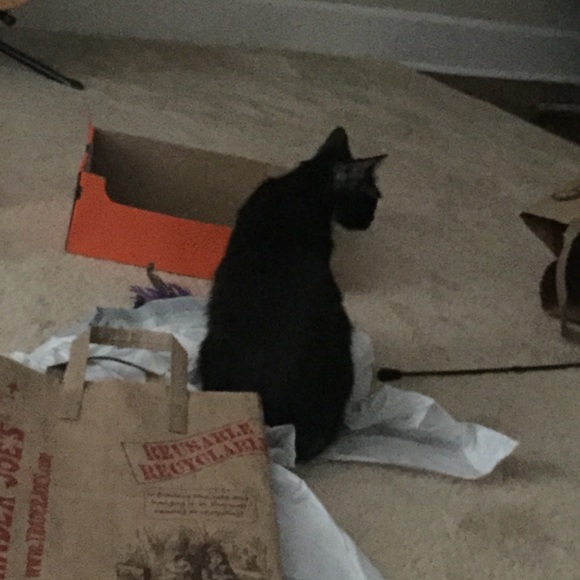 Profile Picture of Chris Derryberry (@deebs23) on Poshmark