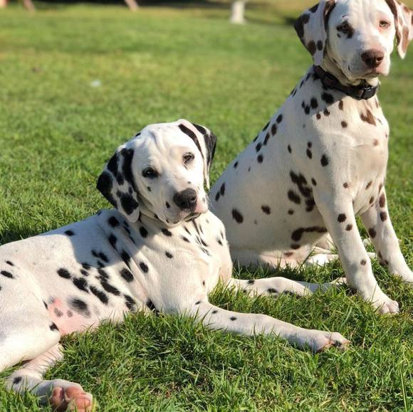 Profile Picture of Sarina Williams (@milosandy) on Poshmark