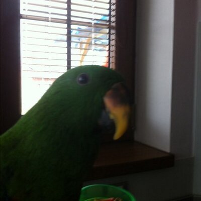 Profile Picture of Michael (@misak506) on Twitter