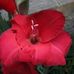 Profile Picture of Jerry Jeffcoat (@jerry.jeffcoat.71) on Facebook