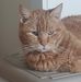 Profile Picture of Richard Hassler (@richard.hassler.9) on Facebook