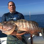 Profile Picture of Ernesto ramirez (@ramirezernesto1966) on Instagram