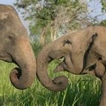 Profile Picture of Marsha Calo-Lappin (@mplappin4verizonnet) on Instagram