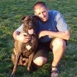 Profile Picture of Jeff Frantz (@mixed.mastiff.family) on Instagram