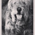 Profile Picture of Ted OConnor (@henrymemory) on Instagram