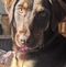 Profile Picture of Brad Driscoll (@brad.driscoll.35) on Facebook
