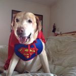 Profile Picture of gingerboneypuddingrocky (@myrnasmith15) on Instagram