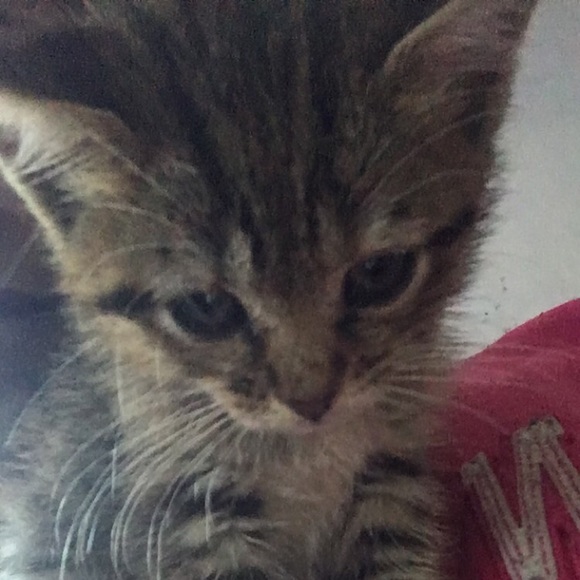 Profile Picture of Nicole Framo (@nicolef198) on Poshmark