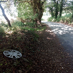 Profile Picture of Carlos Navarro (@hubcaps from spain) on Flickr