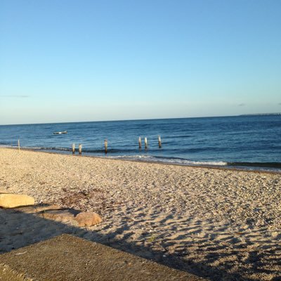 Profile Picture of James Nigrelli (@NigrelliJames) on Twitter