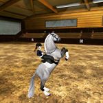 Profile Picture of Aria Waterlock (@crystal_horses_friends) on Instagram