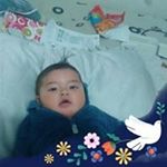 Profile Picture of Rigoberto Acuña Suarez (@rigobertoacunasuarez) on Instagram