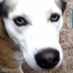 Profile Picture of Shawn Romack (@shawn64790) on Twitter