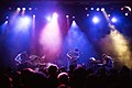 Profile Picture of White Denim - Wikipediaon Wikipedia