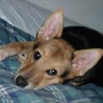 Profile Picture of Debbie Bricker (@brickerdebbie) on Instagram
