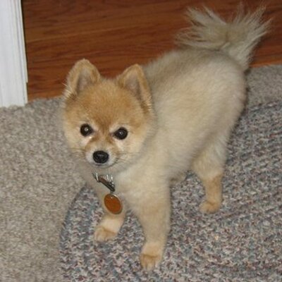 Profile Picture of Jim Berryman (@JimBpeak) on Twitter