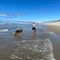 Profile Picture of Jason Bietz (@jason.bietz.12) on Facebook