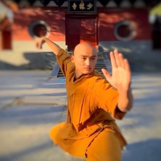 Profile Picture of Vincent (@vincent_wu_duart) on Tiktok