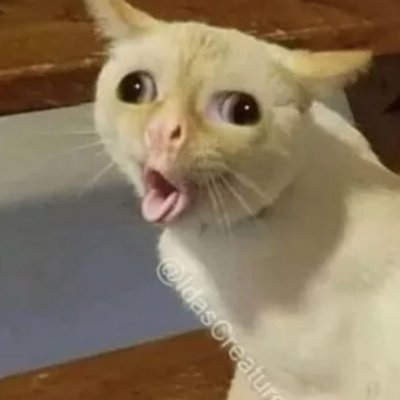 Profile Picture of Bryon Perry (@MLPumpkin01) on Twitter