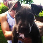 Profile Picture of Corey Schlosser (@coreyschlosser) on Instagram