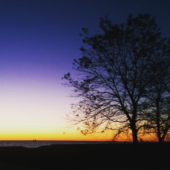 Profile Picture of Tracy Eggeman (@teggs) on Poshmark