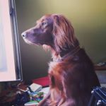 Profile Picture of Richard (@richard_thesetter) on Instagram