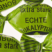 Profile Picture of Gordon Schulz (@eukalyptusbonbon1760) on Youtube