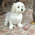 Profile Picture of Markus Trautmann (@georgerosnek) on Instagram