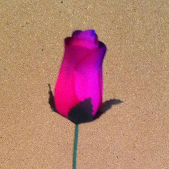 Profile Picture of Kyla Hullick (@empressfrog) on Poshmark