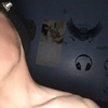 Profile Picture of Alex Adamson (@@alexadamson) on Tiktok