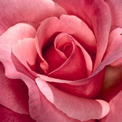 Profile Picture of Patrisha Dang (@Pat92081) on Twitter