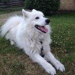 Profile Picture of Kim Frandsen Heilmann (@xxkimheilmannxx) on Instagram