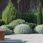 Profile Picture of Kelly Lozinsky (@kelly.lozinsky) on Facebook