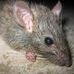 Profile Picture of James Udall (@james.udall.16) on Facebook