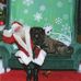 Profile Picture of Nancy A. Huether (@eastwind.kennels) on Facebook