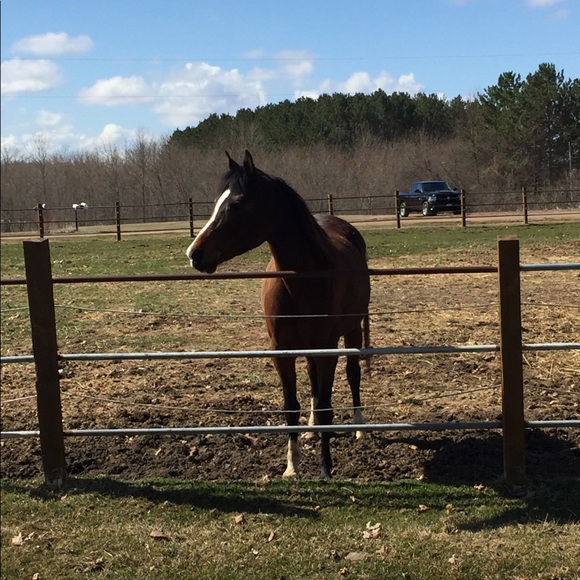 Profile Picture of Colleen Winberg (@cwinberg0607) on Poshmark